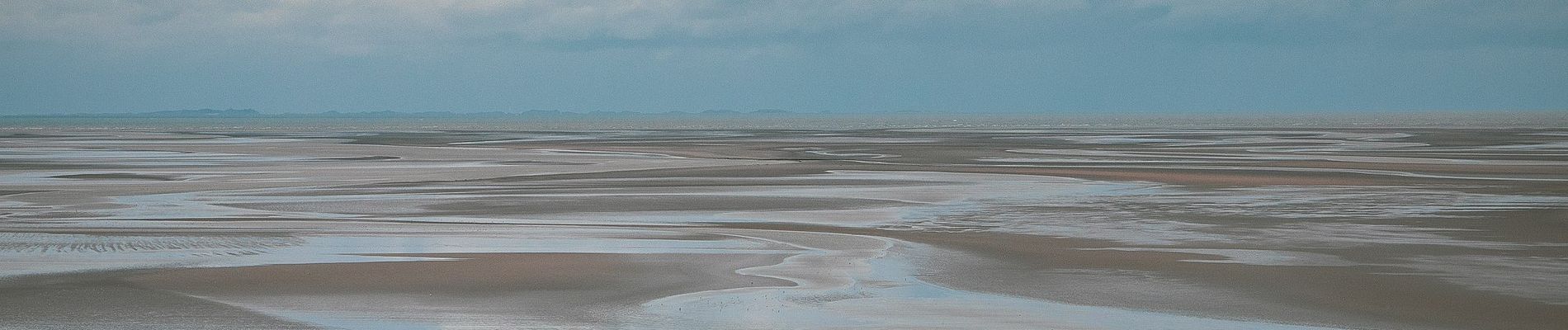 Tocht Te voet Saint-Georges-de-Gréhaigne - Découverte des polders - Photo