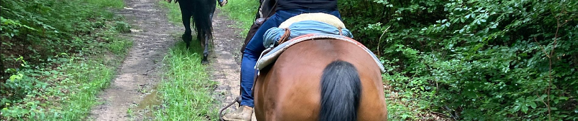 Trail Horseback riding Brouville - Brouville grammont fred Nadine Tivio  - Photo