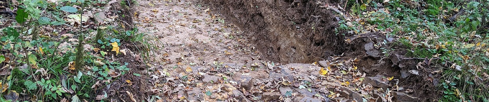 Tocht Te voet Wiehl - Tropfsteinhöhle Rundweg A3 - Photo