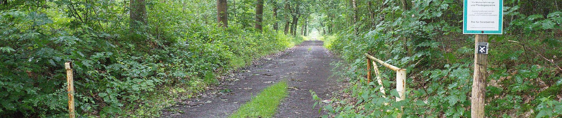 Tocht Te voet Neustadt am Rübenberge - Schneeren Rundwanderweg S2 - Photo