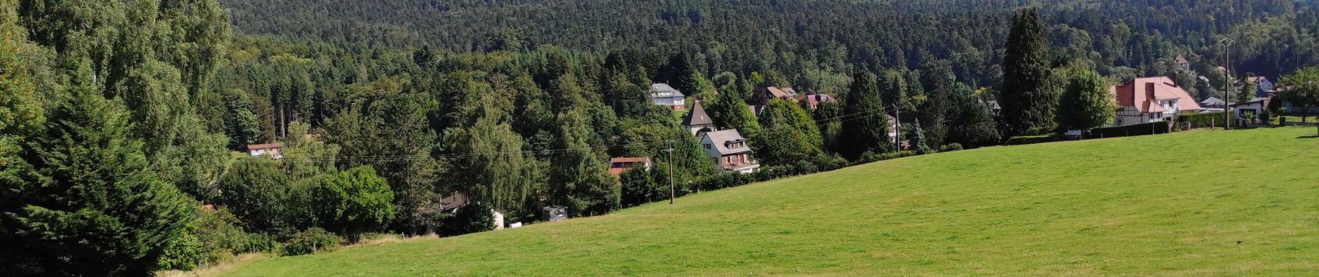 Tour Wandern Hohwald - Le Hohwald (bis) - Photo