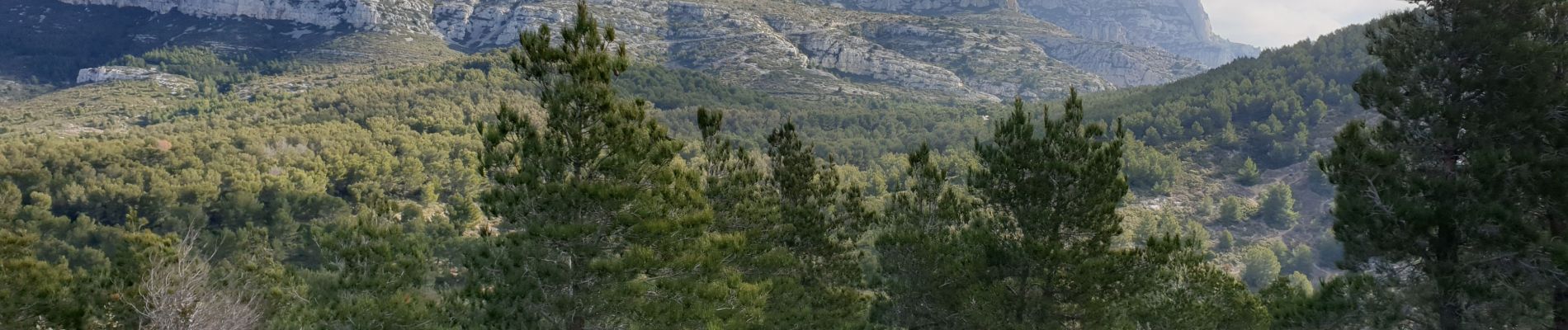 Trail Walking Marseille - Les Monts de Luminy  - Photo