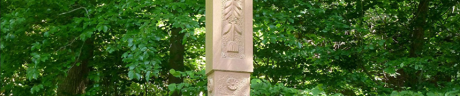 Percorso A piedi Birkenau - Rundwanderweg Am Schütze-Kreuz 7: Kisselbuschweg - Photo