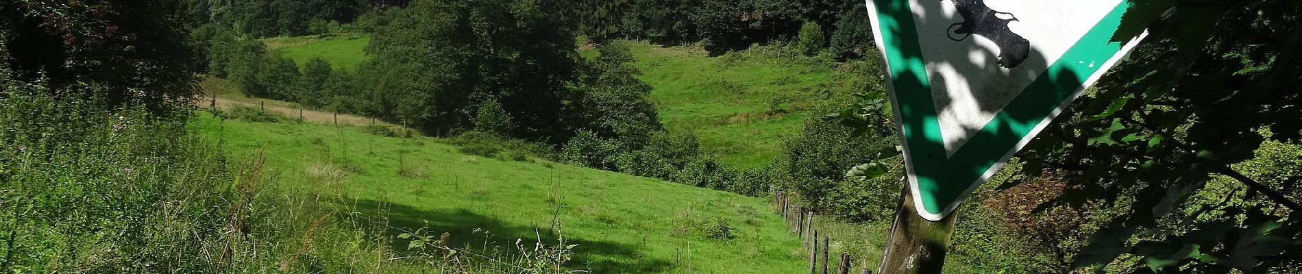 Tour Zu Fuß Meschede - Buchplette Rundweg A6 - Photo