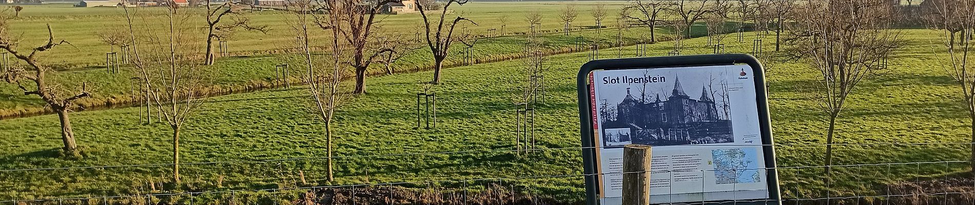 Tocht Te voet Purmerend - Bos en Dijkroute - Photo