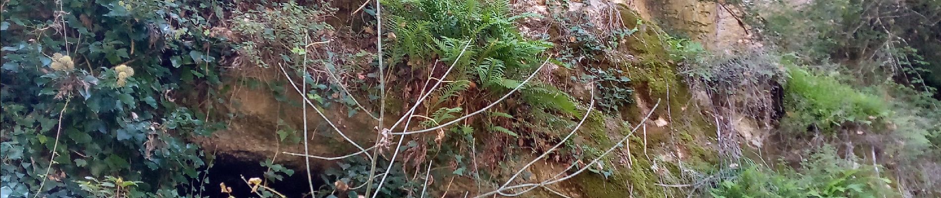 Tour Wandern Veyrignac - Ronde des Villages samedi - Photo