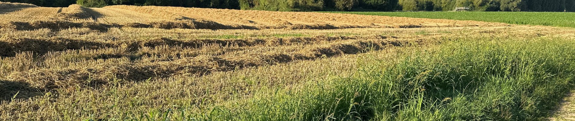 Randonnée Marche Asse - Relegem 6,7 km - Photo