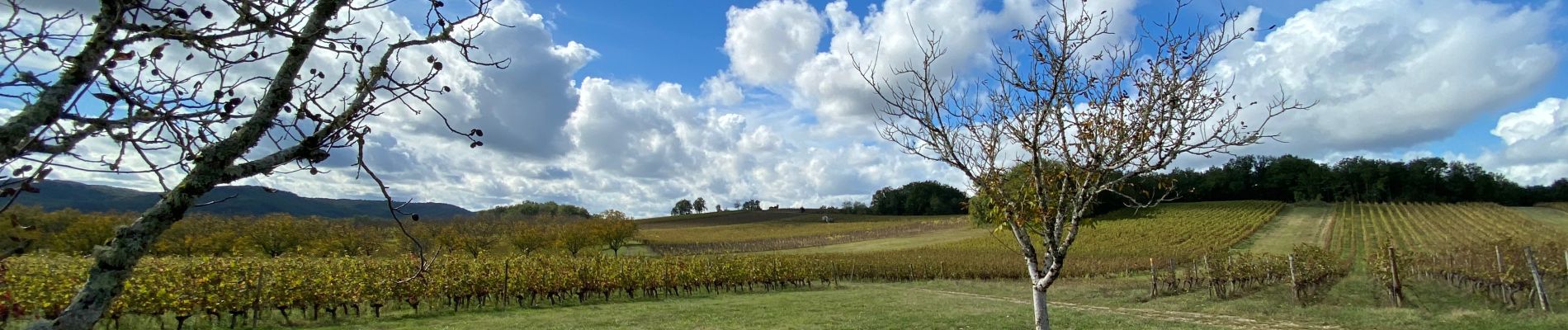 Tour Wandern Mercuès - Mercues Caillac  - Photo