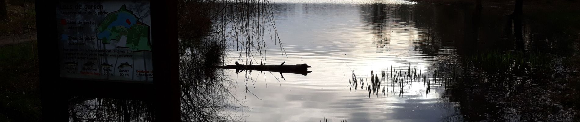 Randonnée Marche Carsac-de-Gurson - randonnée Lacustre  lac de Gurson  - Photo