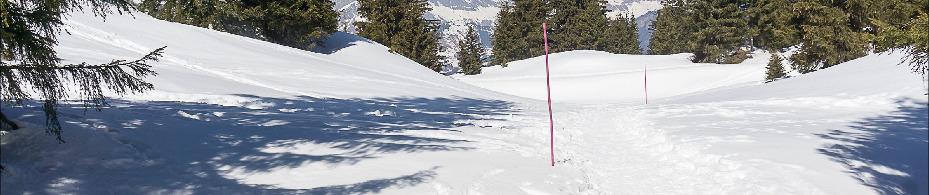 Tocht Sneeuwschoenen Villard-sur-Doron - De Bisanne 1500 à Mont Bisanne - Photo