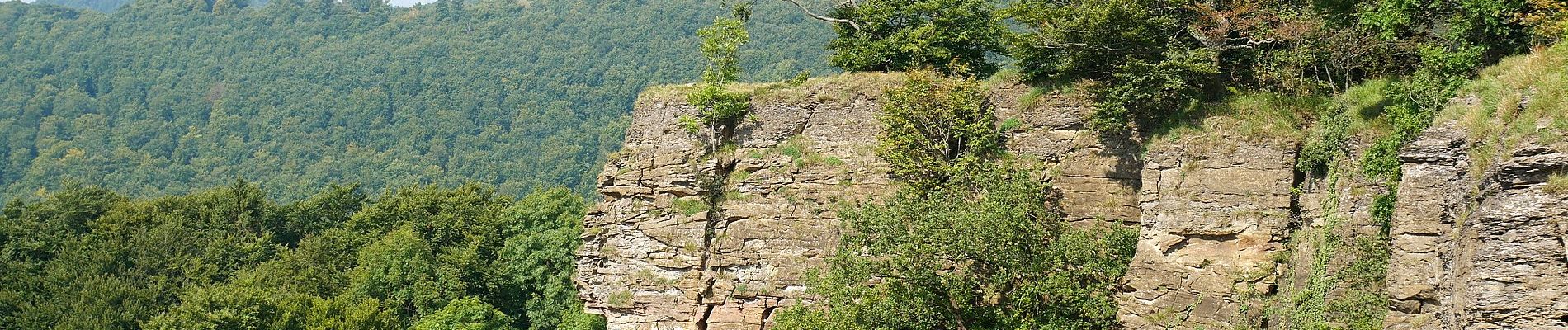 Randonnée A pied Auetal - HO7 - Hohenstein Route - Photo