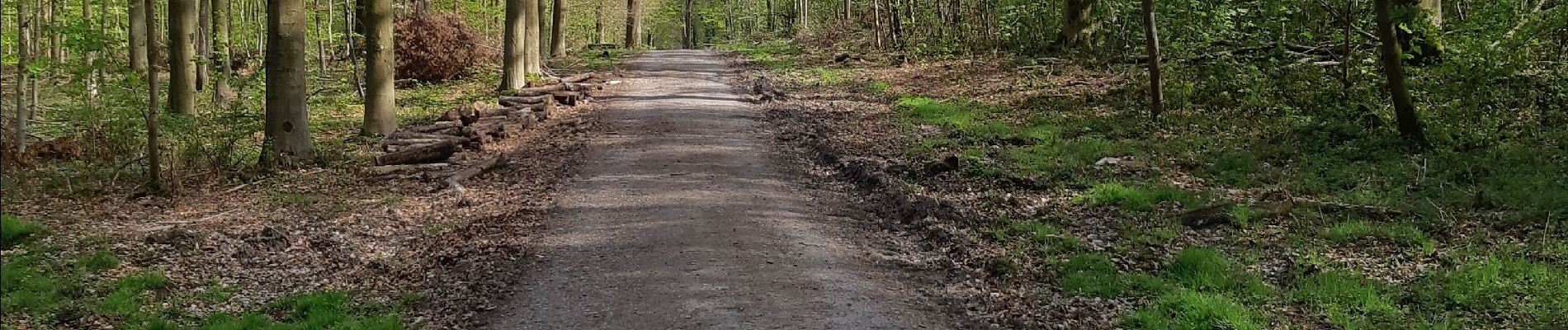 Tour Wandern Bergen - ballade bois du Rapois - Photo