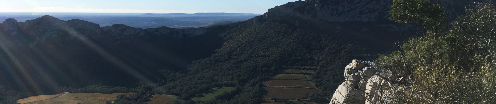 Randonnée Marche Valflaunès - L’Hortus par château de Vivioures - Photo