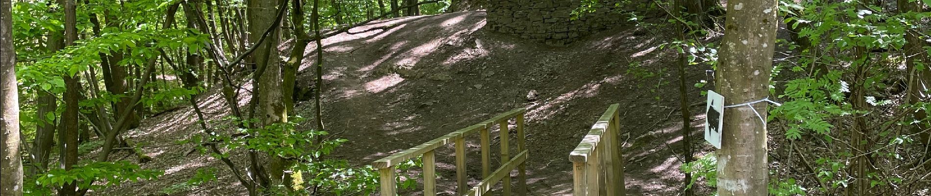 Tocht Stappen Trooz - Trou du renard  fond des trois bois - Photo