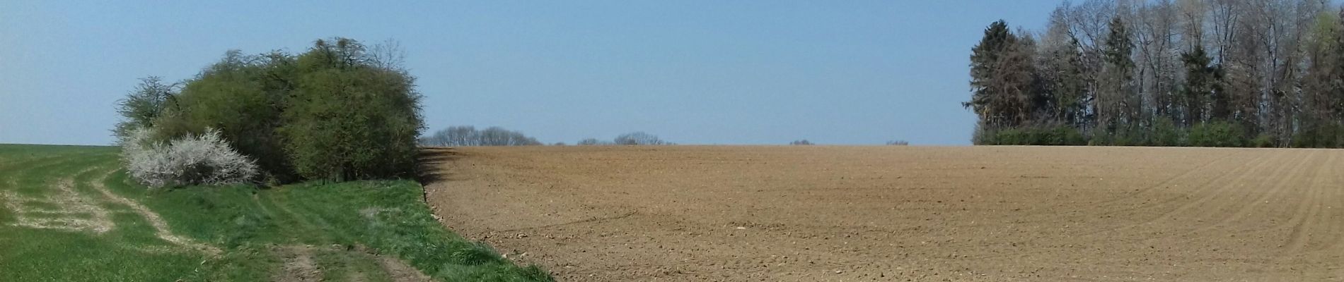 Tocht Stappen Tinlot - Ramelot - Strée  - Photo