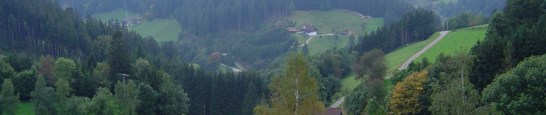 Randonnée A pied St. Georgen im Schwarzwald - St. Georgener Heimatpfad - Photo