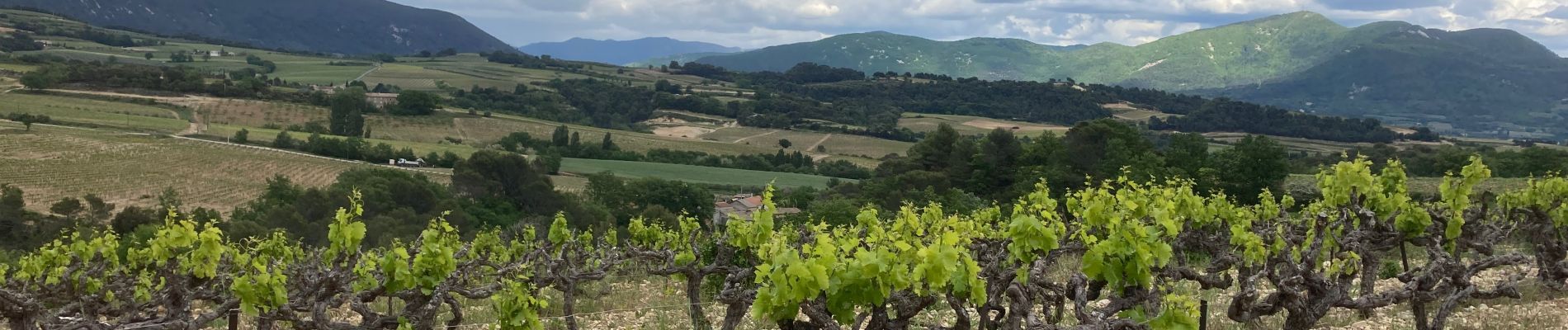 Tour Rennrad Mirabel-aux-Baronnies - Mirabel/Vinsobres/Venterol/Nyons/Mirabel 28km - Photo