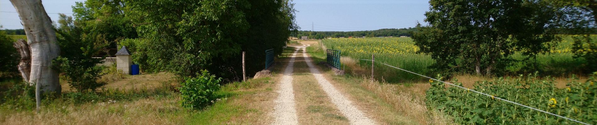 Trail Walking Huismes - Huismes - les Fontaines d'Ozon GR3 - 15.9km 170m 3h35 - 2022 07 17 - Photo