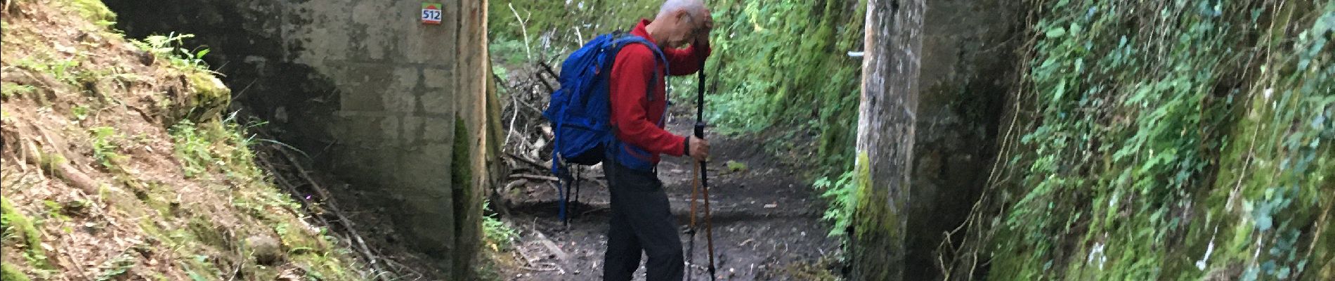 Tocht Stappen Bagnères-de-Luchon - Luchon Super - Photo