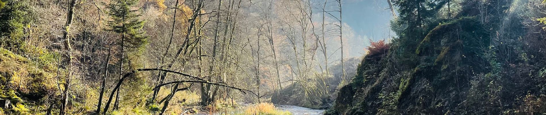 Trail Walking Houffalize - Achouffe: La Vallée des Fées - Photo