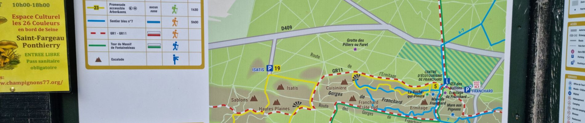 Trail Walking Fontainebleau - Sentier Denecourt 7 - Photo