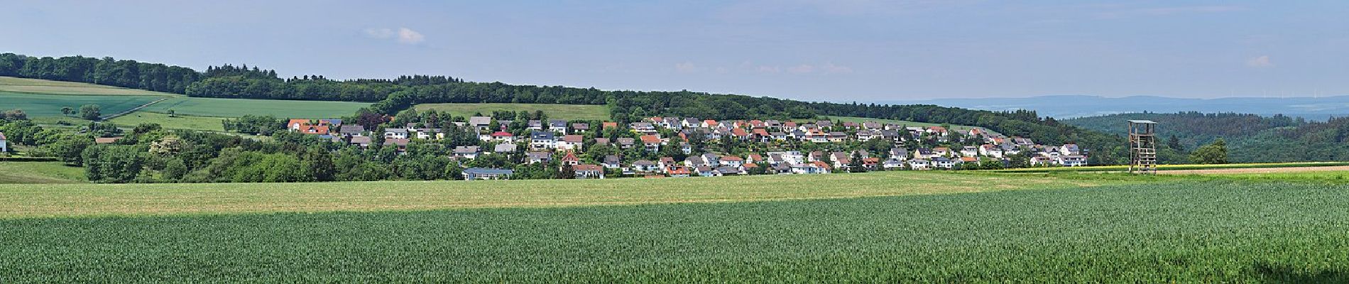 Tour Zu Fuß Idstein - Eschenhahner Runde - Photo