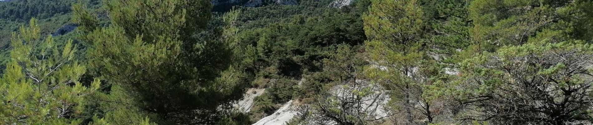 Tour Wandern Buis-les-Baronnies - Malpertuis - Milmandre - Ubrieux 04.08.2021 - Photo