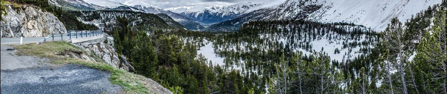 Tour Zu Fuß Münstertal - Pass dal Fuorn - Funtana da S-charl - Photo