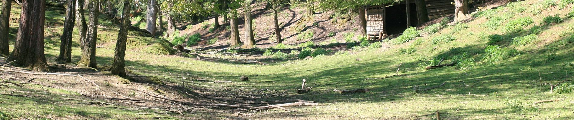 Randonnée A pied Aglasterhausen - Rundwanderweg Aglasterhausen 1: Falchengrund-Weg - Photo