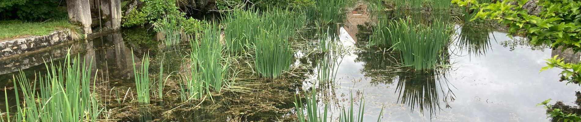 Tour Wandern Mechmont - Mechmont gigouzac  - Photo