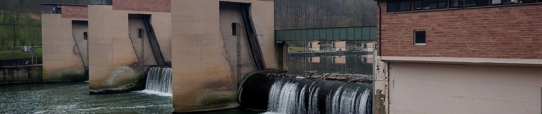 Tour Zu Fuß Neckargerach - Mittelberg-Weg - Photo