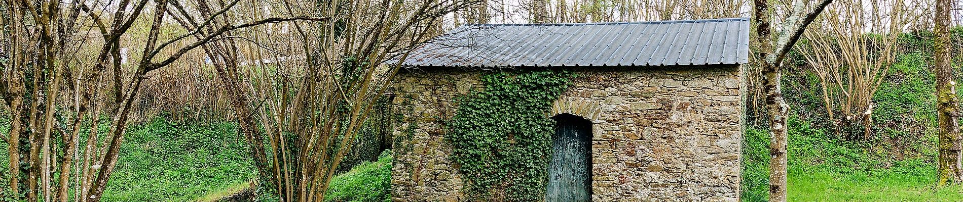 Randonnée A pied Petit-Mars - Les Marais - Photo