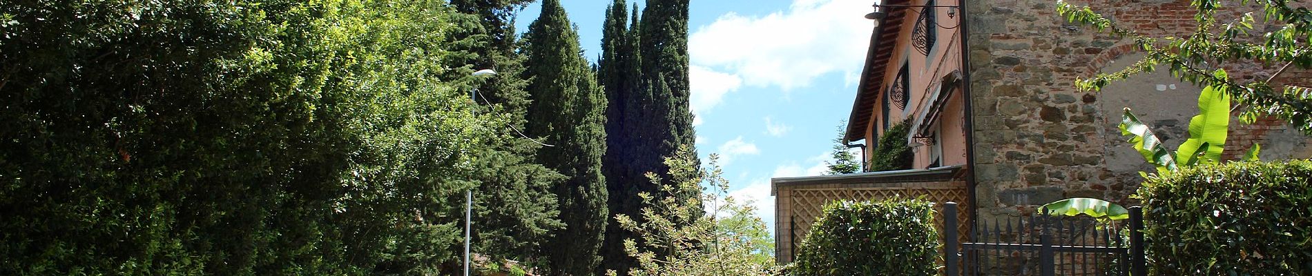 Percorso A piedi Greve in Chianti - Anello di Cintoia - Photo