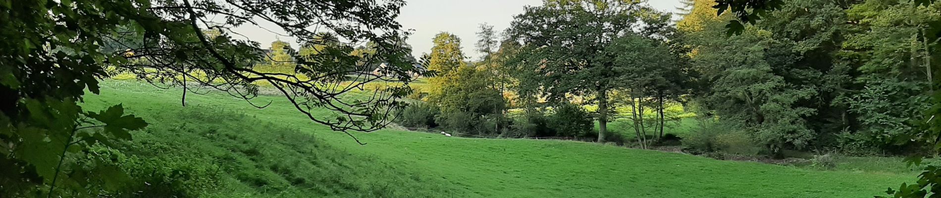 Randonnée Marche nordique Namur - wierde champêtre  - Photo