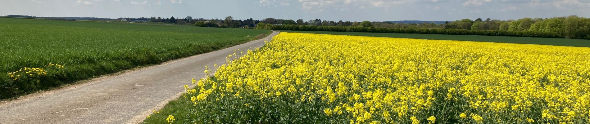 Randonnée Marche Ferrières - FERRIERES - Photo