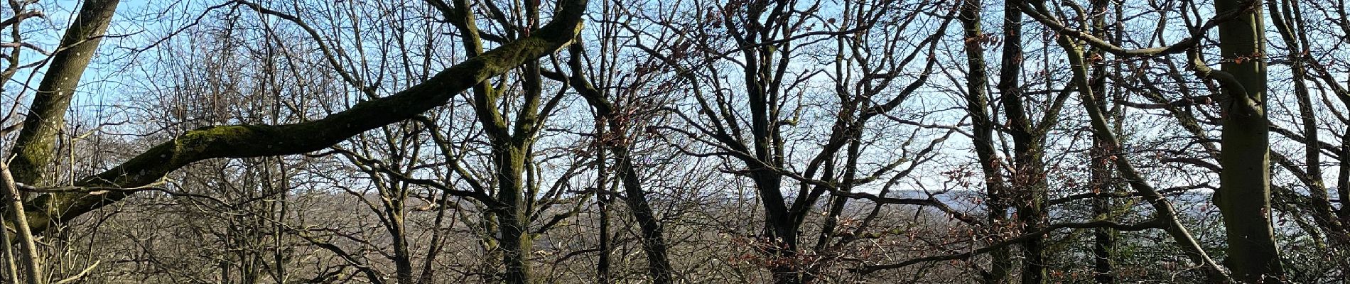 Tocht Stappen Trooz - Forêt Magnée par Meiser - Photo