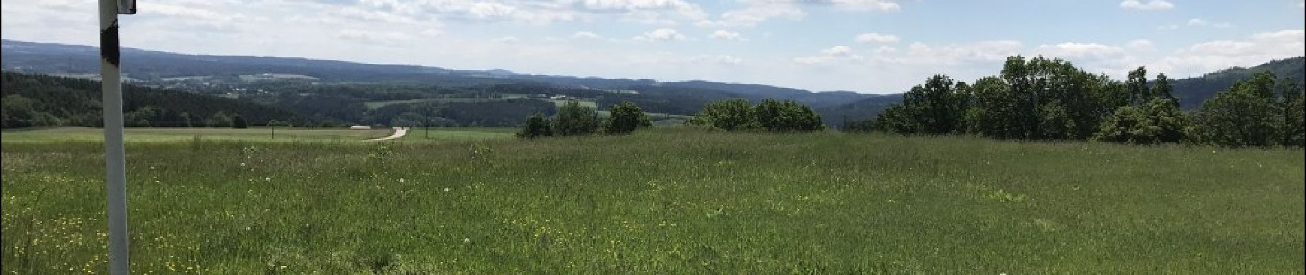 Tour Zu Fuß Nittenau - Drei-Burgen-Weg (Nittenau) - Photo