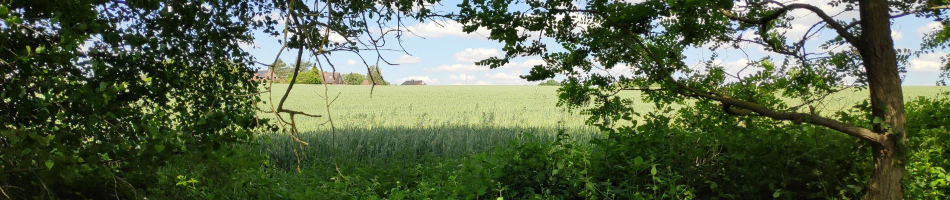 Tocht Stappen Villers-la-Ville - Tilly - Photo