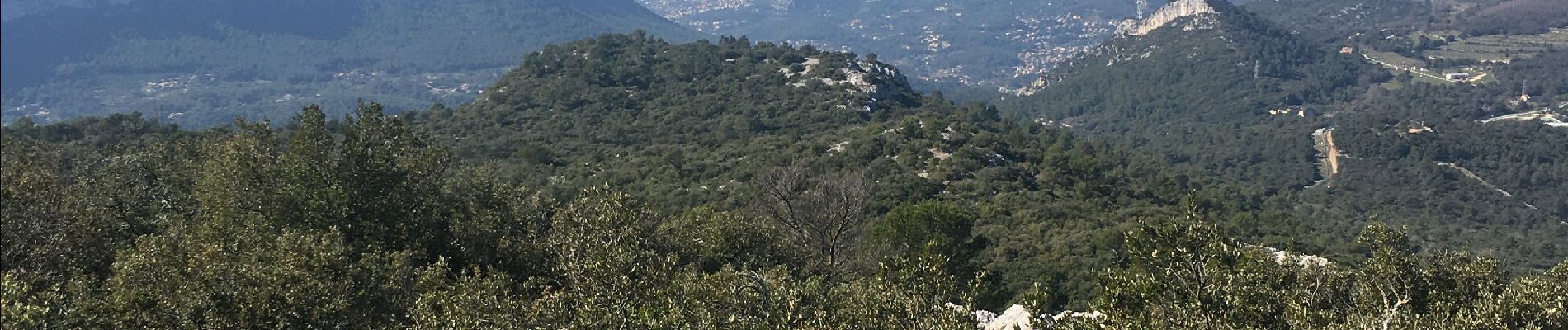 Trail Walking La Valette-du-Var - Le petit Coudon - Photo