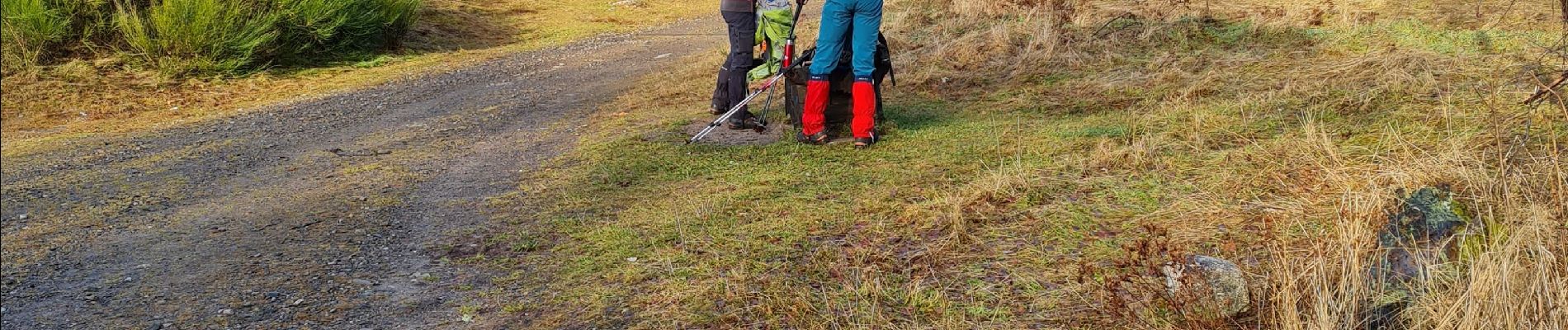 Tour Wandern Rimbach bei Gebweiler - Rando avec Omar et Slimane..29/12/2021 - Photo