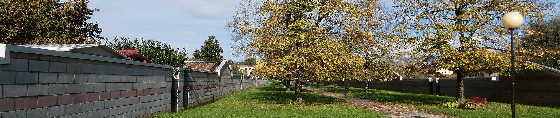 Tour Zu Fuß Figline e Incisa Valdarno - Anello del Forestello - Photo