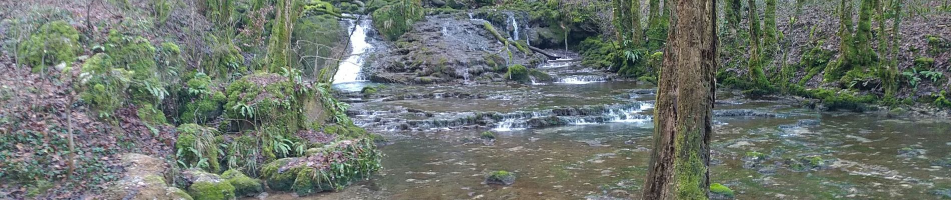 Excursión Marcha nórdica Les Planches-près-Arbois - cascades des tufs - Photo