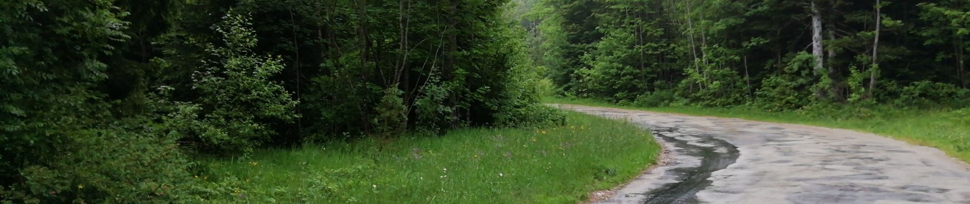 Tour Wandern Les Hôpitaux-Vieux - prusse - Photo