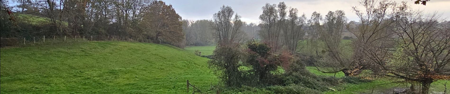 Tour Wandern Blegny - Les pieds dans l'eau (BLEGNY)  - Photo