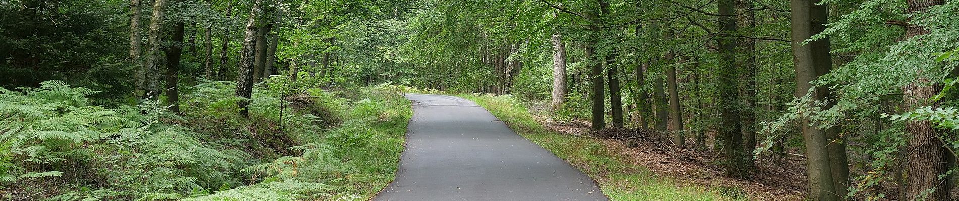 Tocht Te voet Raeren - Durch Neuforst - Photo