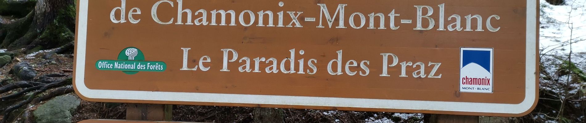 Percorso Marcia Chamonix-Mont-Blanc - CHAMONIX... depuis les Praz vers Argentière. - Photo