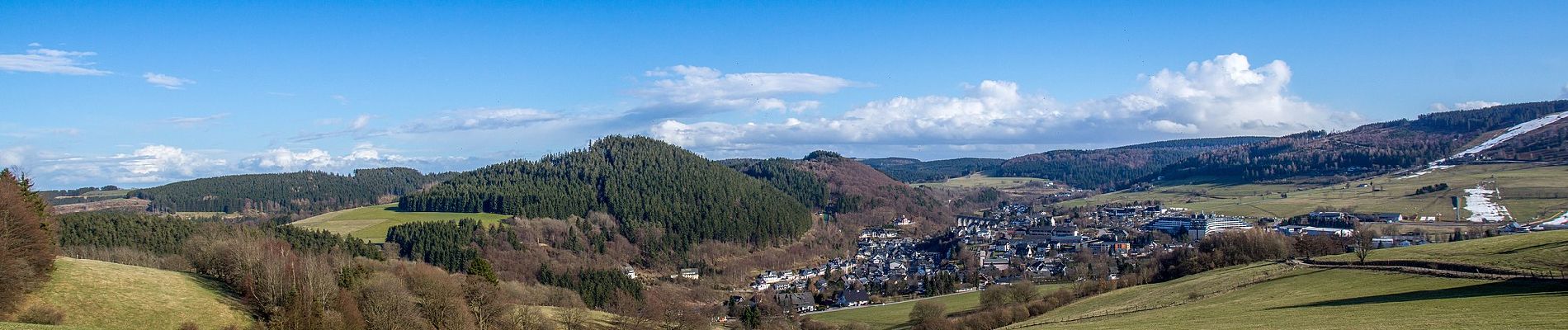 Trail On foot Willingen (Upland) - Willingen W8 - Photo