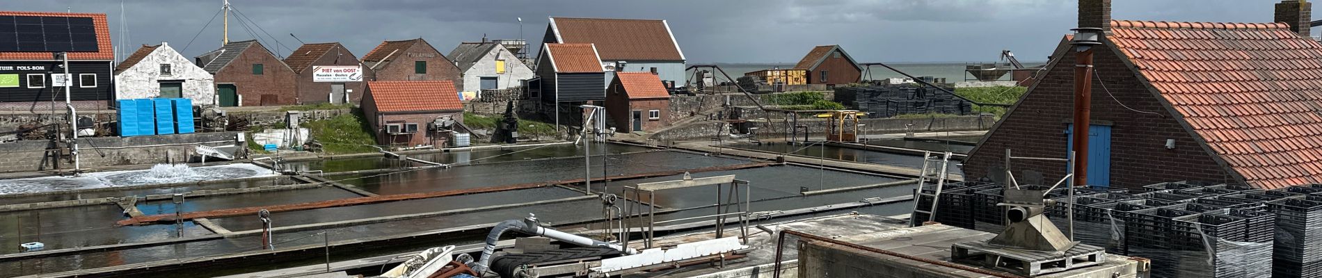 Tocht Stappen Reimerswaal - Yserke 15 km - Photo