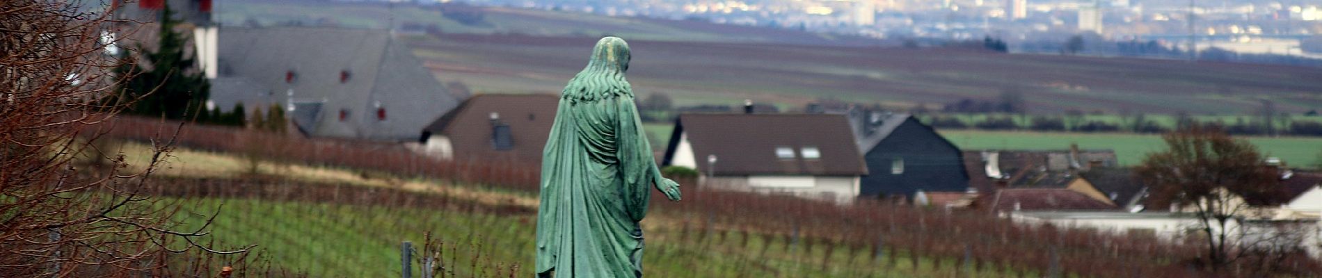 Tocht Te voet Oestrich-Winkel - Oestricher Flötenweg - Photo