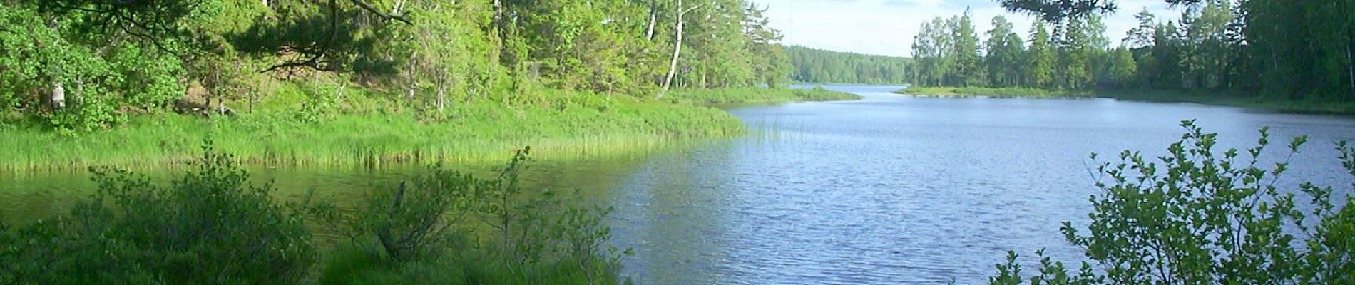 Tour Zu Fuß Unknown - Järnbärarleden - Photo